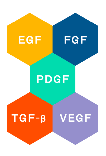 PFC-FD療法に含まれる主な成長因子（EGF・FGF・PDGF・TGF-β・VEGFなど）の種類と働きを示した図